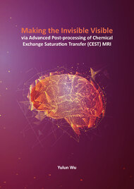 Making the Invisible Visible