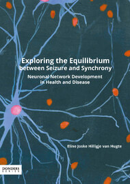Exploring the Equilibrium between Seizure and Synchrony