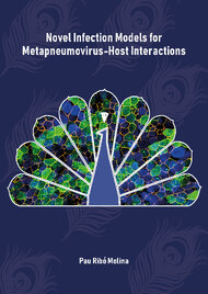 Novel Infection Models for Metapneumovirus-Host Interactions