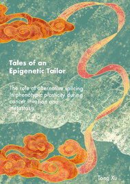 Tales of an Epigenetic Tailor