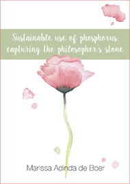 Sustainable use of phosphorus: