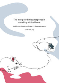 The integrated stress response in Vanishing White Matter: