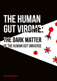 The human gut virome