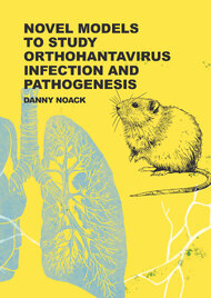 Novel Models To Study Orthohantavirus Infection And Pathogenesis