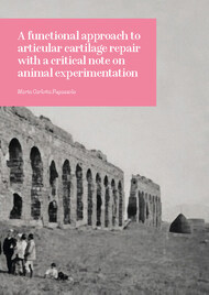 A functional approach to articular cartilage repair with a critical note on animal experimentation