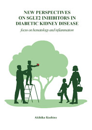 New perspectives on SGLT2 inhibitors in diabetic kidney disease: