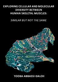 Exploring cellular and molecular diversity between human skeletal muscles