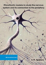 Microfluidic models to study the nervous system and its connection to the periphery